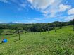 Imagen de Casa con Finca en Parcelas de Monseñor - CVT16